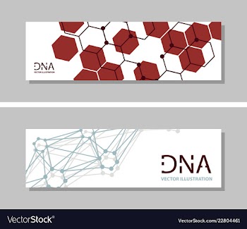 Genetics testing science dna double spiral vector image