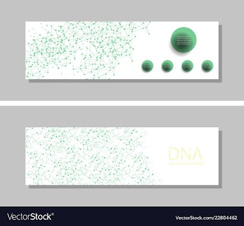 Genetics testing science dna double spiral vector image