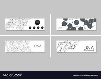 Genetics testing science dna double spiral vector image