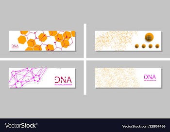 Genetics testing science dna double spiral vector image