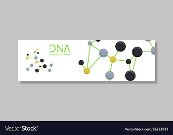 Genetics testing science dna double spiral vector image
