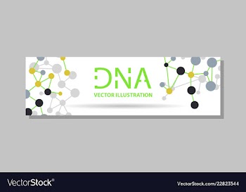 Genetics testing science dna double spiral vector image