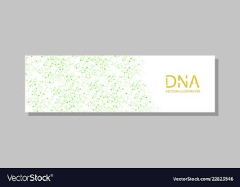 Genetics testing science dna double spiral vector image