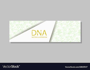 Genetics testing science dna double spiral vector image