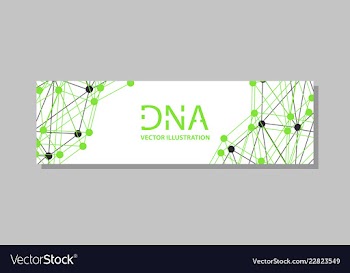 Genetics testing science dna double spiral vector image