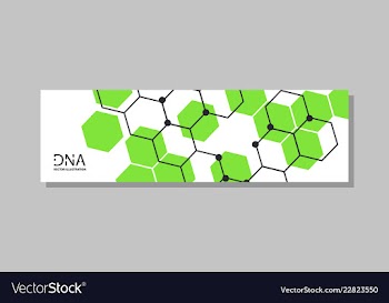 Genetics testing science dna double spiral vector image