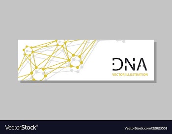 Genetics testing science dna double spiral vector image
