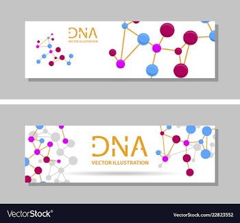 Genetics testing science dna double spiral vector image