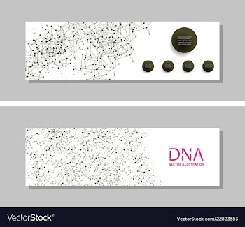 Genetics testing science dna double spiral vector image