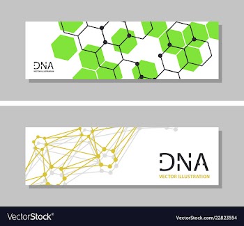 Genetics testing science dna double spiral vector image