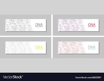 Genetics testing science dna double spiral vector image
