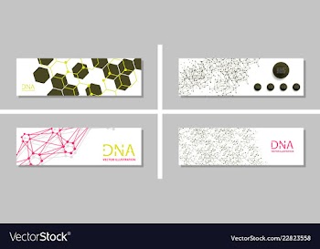 Genetics testing science dna double spiral vector image