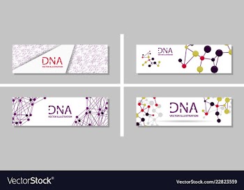 Genetics testing science dna double spiral vector image
