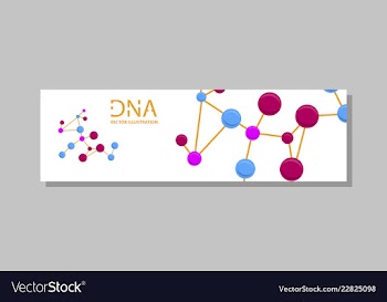 Genetics testing science dna double spiral vector image