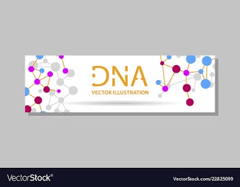 Genetics testing science dna double spiral vector image