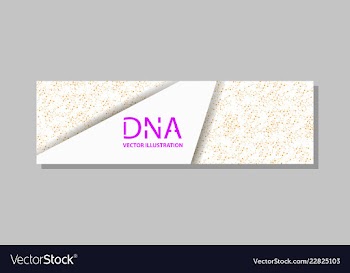 Genetics testing science dna double spiral vector image