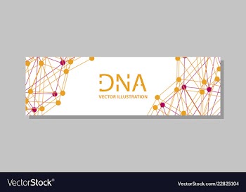 Genetics testing science dna double spiral vector image