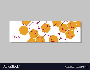 Genetics testing science dna double spiral vector image