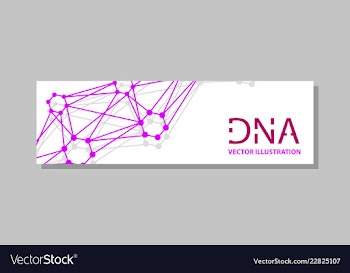Genetics testing science dna double spiral vector image