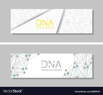 Genetics testing science dna double spiral vector image