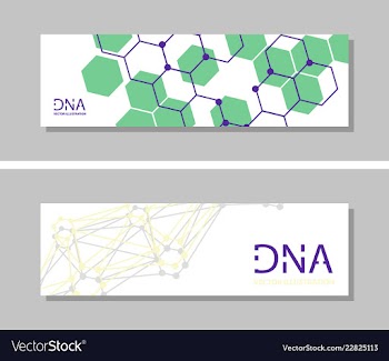 Genetics testing science dna double spiral vector image