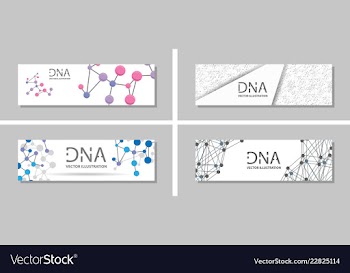 Genetics testing science dna double spiral vector image