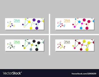 Genetics testing science dna double spiral vector image