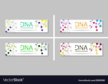 Genetics testing science dna double spiral vector image