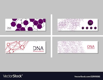 Genetics testing science dna double spiral vector image