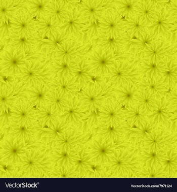 Geometric Bright Floral Backdrop vector image