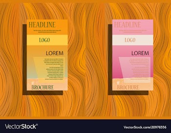 Geometric brochure template design cover layout vector image