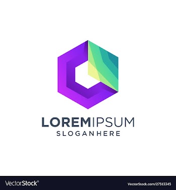 Geometric low polygon logo design vector image