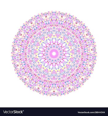 Geometrical abstract colorful circular floral vector image