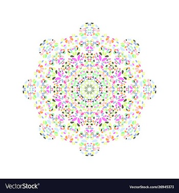Geometrical abstract floral mosaic ornament star vector image