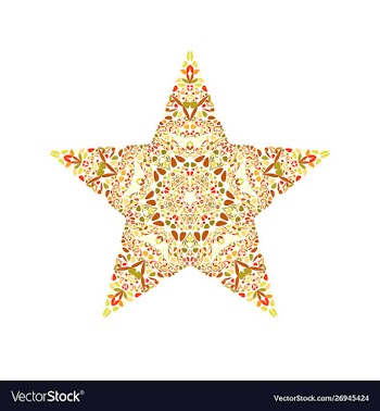 Geometrical abstract floral mosaic star logo vector image