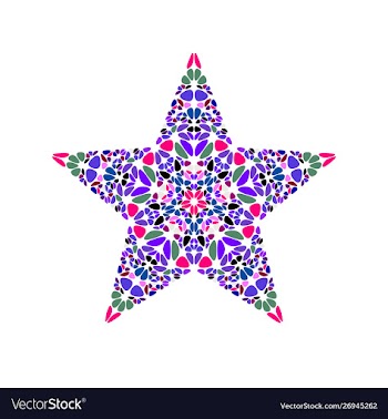 Geometrical abstract flower ornament star symbol vector image