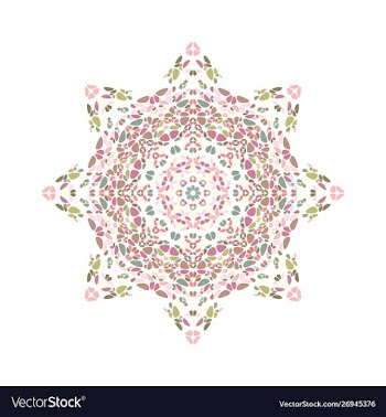 Geometrical abstract isolated colorful petal star vector image