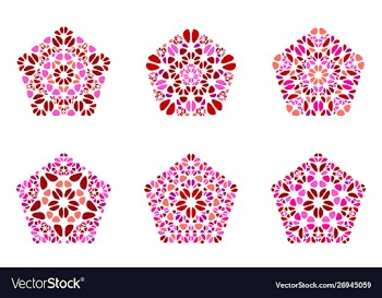 Geometrical abstract isolated flower pentagon vector image