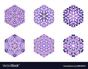 Geometrical abstract ornate flower ornament vector image