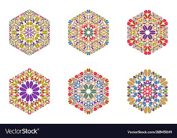 Geometrical abstract petal ornament hexagon logo vector image