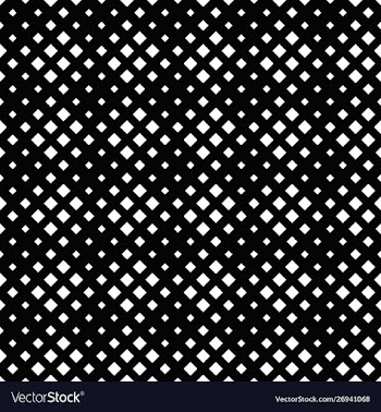 Geometrical black and white diagonal square vector image