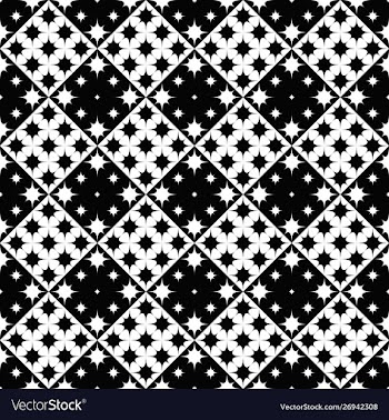 Geometrical black and white star pattern vector image
