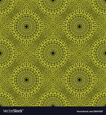 Geometrical bohemian abstract mandala flower vector image
