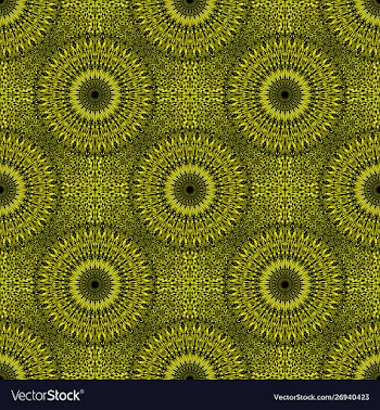 Geometrical bohemian abstract mandala flower vector image