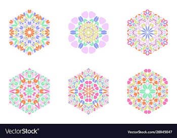 Geometrical colorful abstract petal hexagon vector image