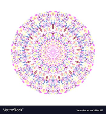 Geometrical colorful floral ornament mandala vector image