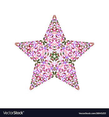Geometrical colorful floral ornament star symbol vector image