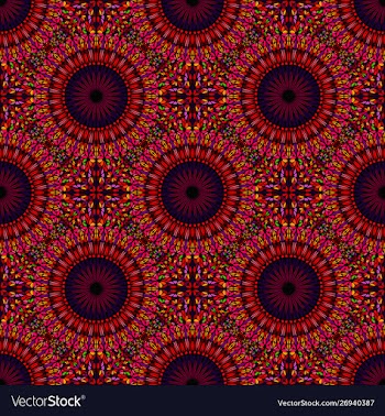 Geometrical colorful garden mandala ornament vector image