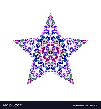 Geometrical colorful gravel ornament star logo vector image