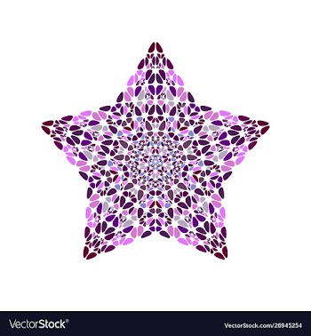 Geometrical colorful isolated flower ornament vector image